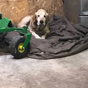 Meet your Posher, Brad